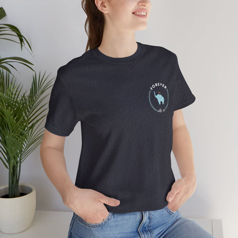 Bella+Canvas Unisex Jersey Short-Sleeve Tee 3001 - FWU