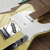 Die-Cut Stickers - AN Band