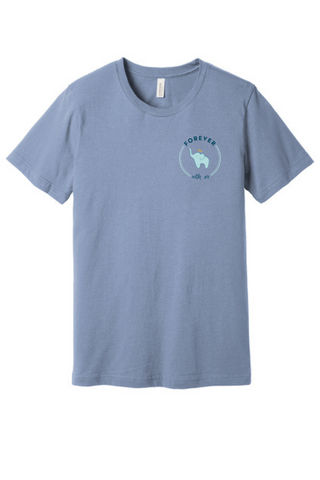BELLA+CANVAS Unisex Heather CVC Short Sleeve Tee BC3001CVC - FWU