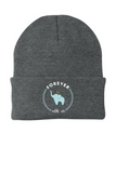 Port & Co. Knit Cap CP90 - FWU