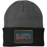 Port & Co. Knit Cap CP90 - Bluebird Leaders