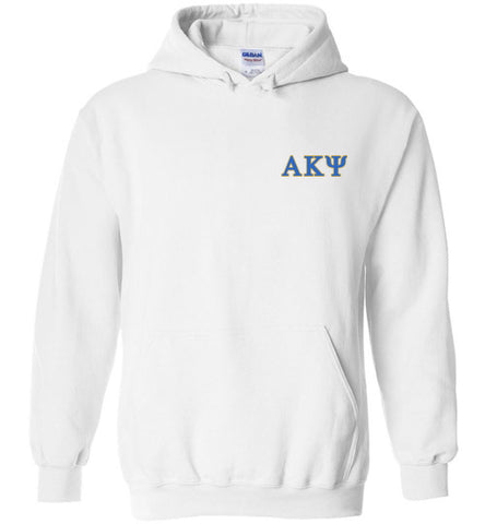 Gildan Heavy Blend Hoodie - AKPsi Small Letters