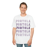 District Perfect Weight Tee DT104 - Portola Gradient