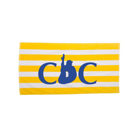 Cabana Stripe Velour Beach Towel - CDC