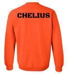Gildan Crewneck Sweatshirt - CD/Chelius