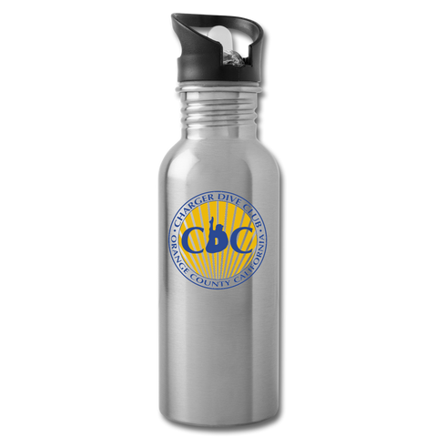 Stainless Steel Water Bottle with Straw 20oz - CDC - silver